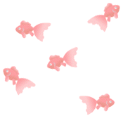 ♪ あかいべべきた かわいいきんぎょ 〜 夏用画像(金魚)